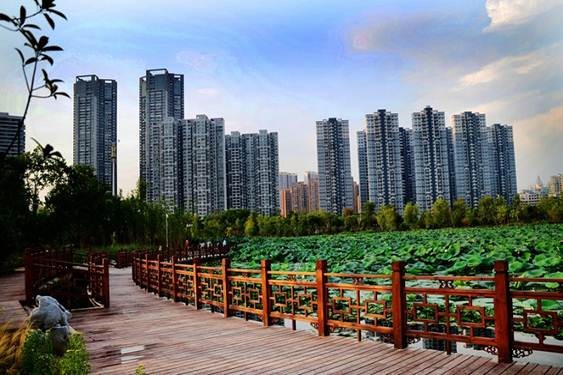 說(shuō)明: psbCA5AOVQL